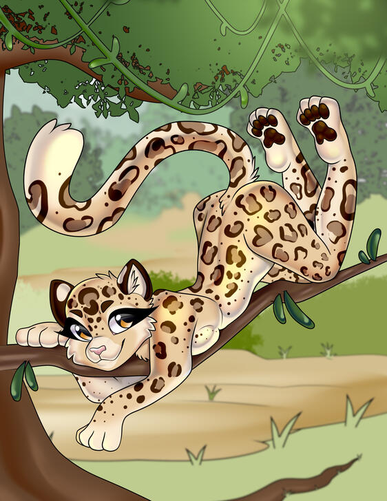 Leopard Sighting Leopard Sighting